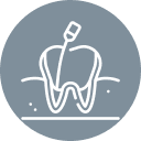 dental root canal raleigh nc